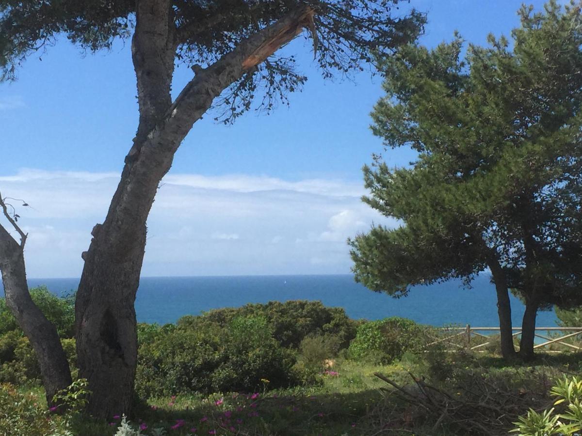 Carvoeiro Sol Seafront Lägenhet Exteriör bild