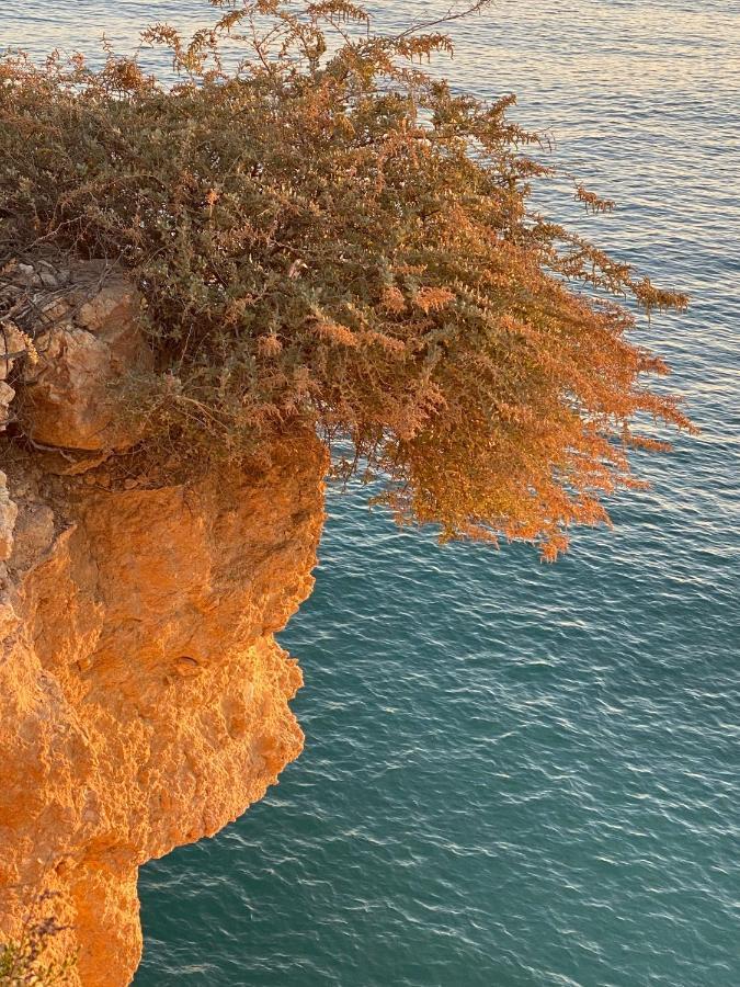 Carvoeiro Sol Seafront Lägenhet Exteriör bild
